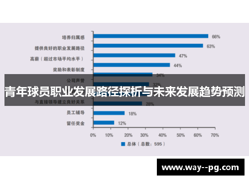 青年球员职业发展路径探析与未来发展趋势预测