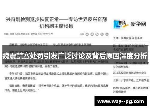 魏震禁赛处罚引发广泛讨论及背后原因深度分析