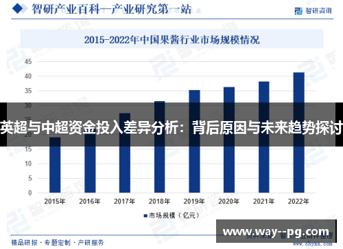 英超与中超资金投入差异分析：背后原因与未来趋势探讨