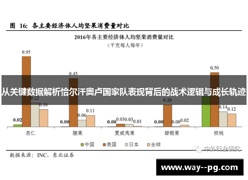 从关键数据解析恰尔汗奥卢国家队表现背后的战术逻辑与成长轨迹