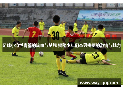 足球小将世青篇的热血与梦想 揭秘少年们奋勇拼搏的激情与魅力